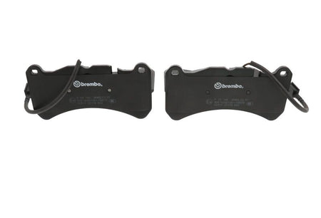 Photo - Close Up